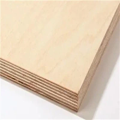Berkenhouten paneel